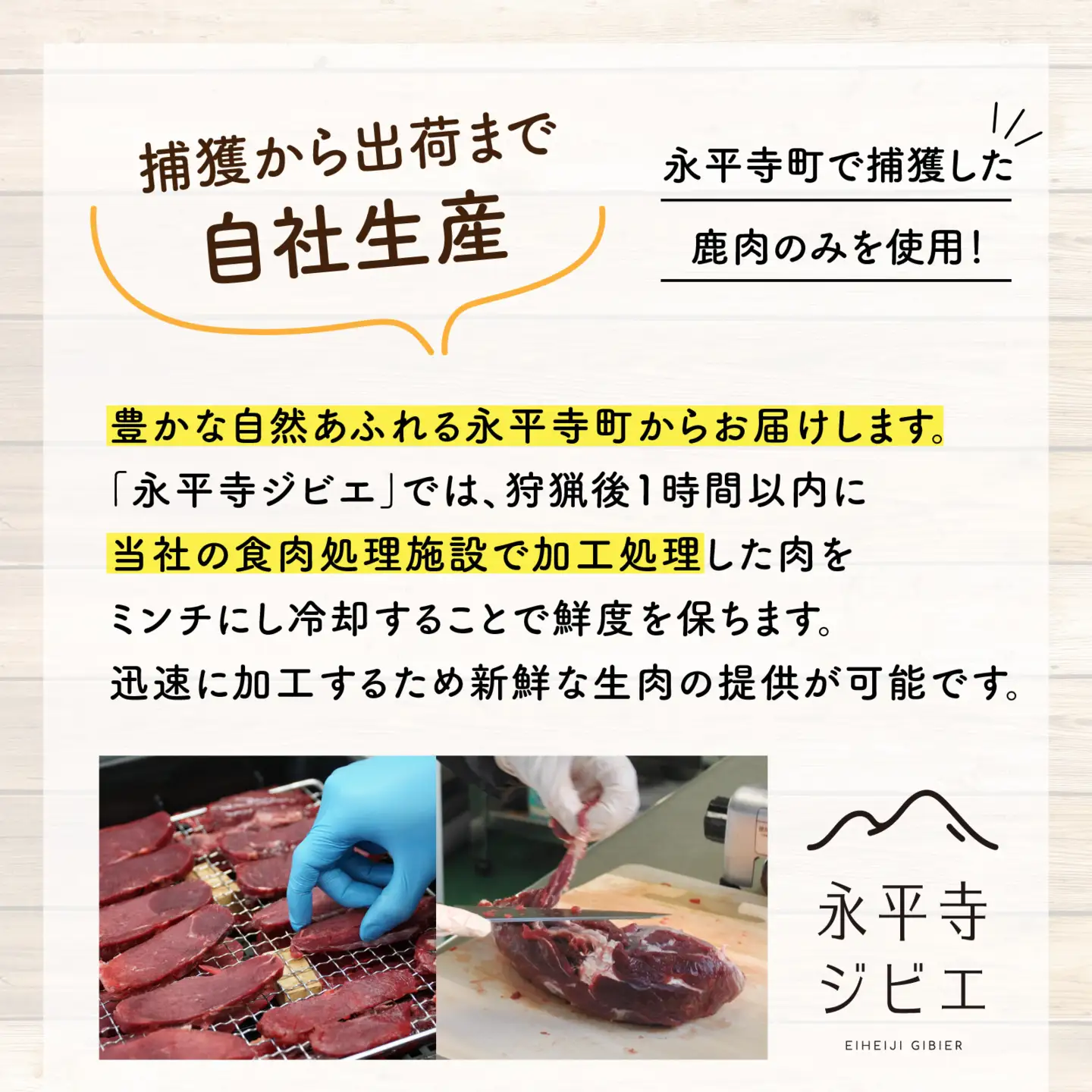 犬用鹿肉生肉ミンチ 2パック 犬用 国産  [B-036006] 