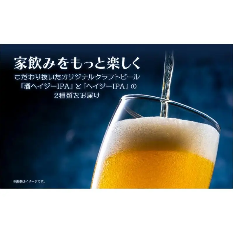 クラフトビール 2種 330ml 計4本 酒ヘイジーIPA Hazy IPA ビール 地ビール 瓶ビール ヘイジーIPA お酒 酒 ホップ 麦芽 コーヒー人気 晩酌 宅飲み 家飲み 飲み比べ お取り寄せ ギフト 冷蔵 ジョークンビール 新潟県 十日町市