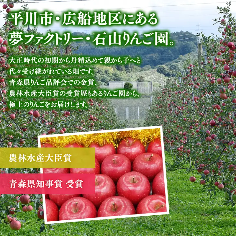 りんご 贈答用 特選 完熟サンふじ 約3kg [hi-0008-010]