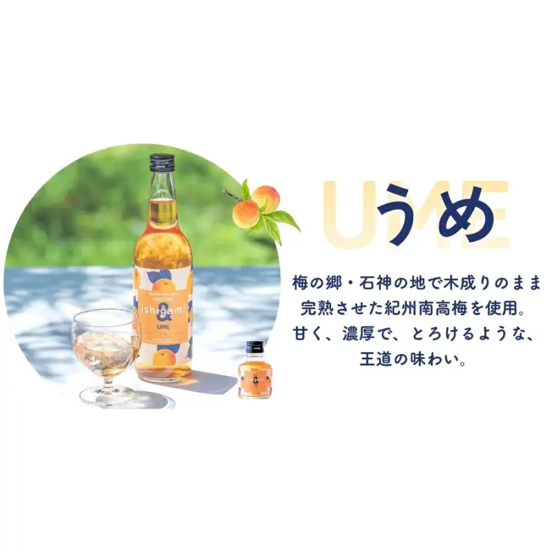 梅酒ishigami&（イシガミアンド）（うめ） 600ml×2本 / 梅干し 梅干 梅 うめ 炭酸割り ロック 和歌山 田辺市 紀州産 南高梅 完熟梅 フルーツ【isg042】