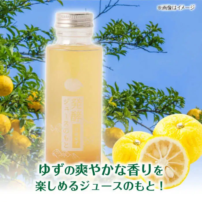 発酵ジュースのもと〈日田ゆず〉120ml×5本 ジュース ゆず 果実飲料[ARDA002]