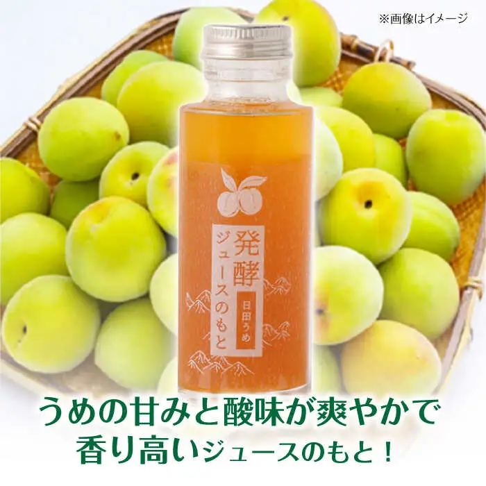 発酵ジュースのもと〈日田うめ〉 110ml×5本 ジュース うめ ウメ 梅 果実飲料 [ARDA004]