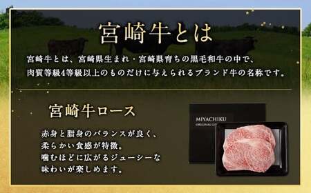＜宮崎牛 ロースステーキ 2枚 500g＞入金確認後、翌月末迄に順次出荷【c1191_mc_x2】 新生活応援 卒業祝い 就職祝い 入学 卒業 お花見 引越し