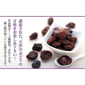 国産無添加・干しぶどう（大府産ぶどう使用）