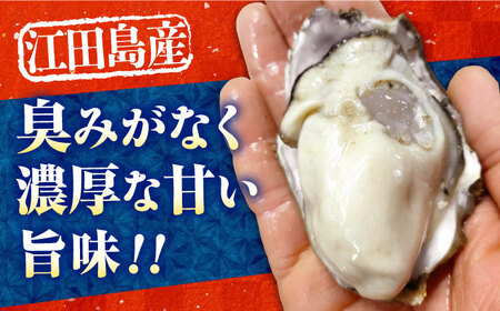 訳あり 生牡蠣 むき身1kg[XBK016]牡蠣