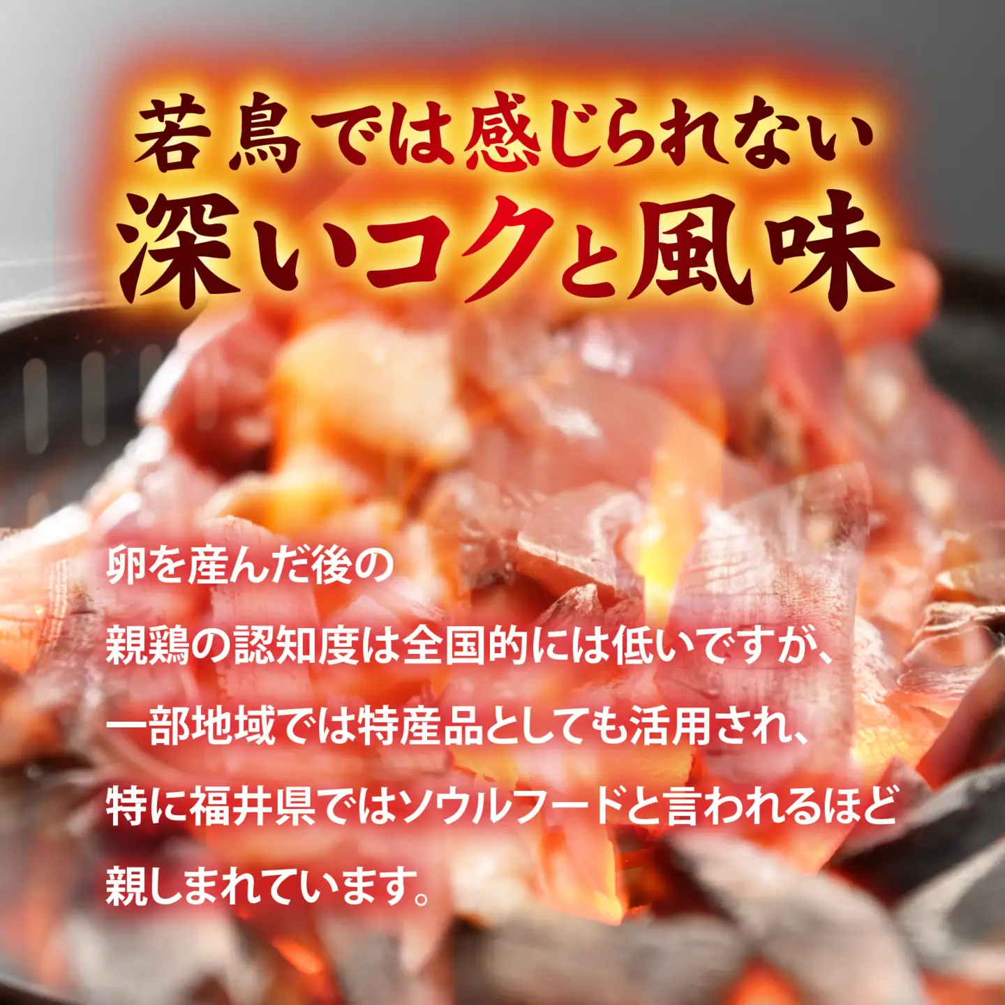 親鶏の旨みたっぷり　やきとりバーグ【 鶏肉 親鶏 ひね鶏 塩 醤油 ガリペパ ご当地 グルメ B級 名物 焼き鳥 炭火焼 冷凍】 [A-153001]