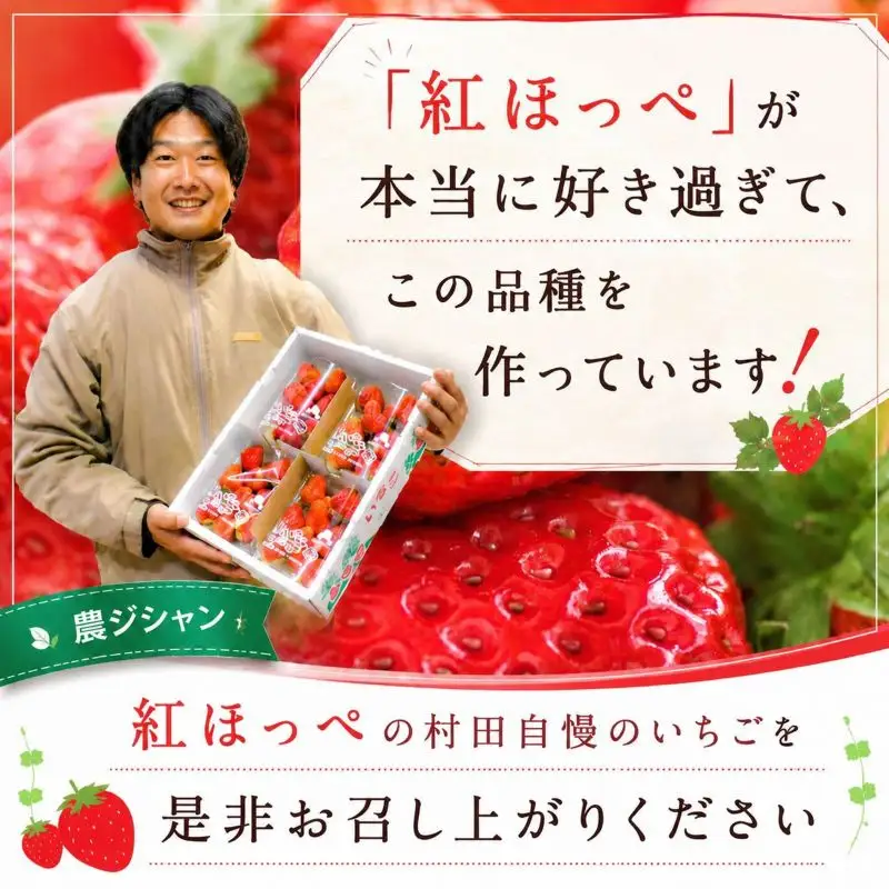 【2027年1月発送】 いちご 紅ほっぺ 計1080g 約270g×4パック いちご