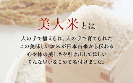 令和6年産【美人米】玄米10kg 【千葉県神崎町産】[002-a002]【精米 無洗米 米俵 コシヒカリ】