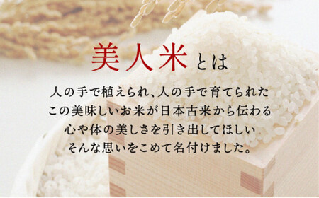 令和6年産【美人米】玄米5kg 【千葉県神崎町産】[002-a004]【精米 無洗米 米俵 コシヒカリ】
