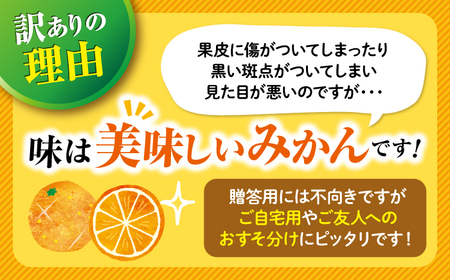 みかん【訳あり】 原口みかん 約5kg  [CCX009] 