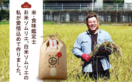 令和6年産 お米 15kg（にこまる5kg×3袋）/稲工房案山子[AGAV009] お米 5kg お米 5kg お米 5kg お米 5kg お米 5kg