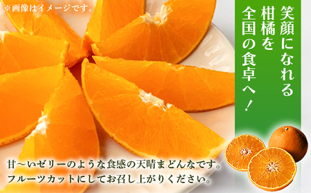 【先行予約】紅まどんなと同品種！＜天晴まどんな（愛媛果試28号）ご家庭用 約3kg＞ マドンナ 訳あり 果物 くだもの フルーツ みかん ミカン 柑橘 株式会社笑丸 あっぱれのうえん 特産品 愛媛県 西予市【常温】『2026年12月上旬～12月中旬迄に順次出荷予定』AAN0039