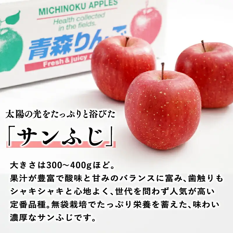 りんご 山の完熟サンふじ 約5kg  [hi-0010-003]
