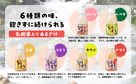 乳酸菌入りあまざけ ちほまろ 150g　12本セット【プレーン へべす 玄米 キウイ トマト ブドウ】 ノンアルコール 贈答 贈り物 おすそ分け 日課 ドリンク 無添加 無加糖 飲み物 乳酸飲料 飲料 宮崎県 高千穂町 _Tk015-017-a12