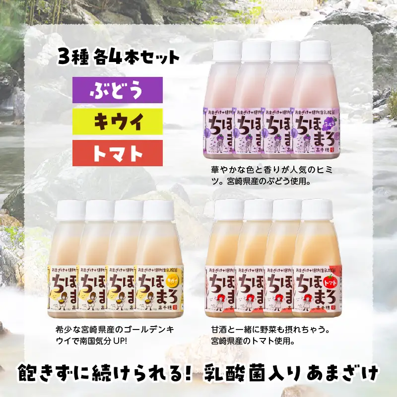 乳酸菌入りあまざけ ちほまろ 150g　12本セット【キウイ トマト ぶどう】 ノンアルコール 贈答 贈り物 おすそ分け 日課 ドリンク 無添加 無加糖 飲み物 乳酸飲料 飲料 宮崎県 高千穂町 _Tk015-017-c12