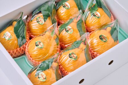 先行予約 果実の宝箱 葉付きデコ柑 不知火 約2.5kg 田辺農園 【2027年3月上旬から6月中旬順次発送予定】