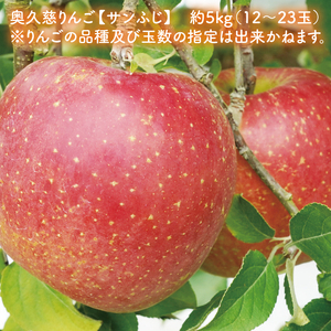 【数量限定/先行予約】奥久慈りんご「サンふじ」約5kg（12～23玉）【2026年11月上旬頃発送予定】斉藤りんご園第2直売所｜茨城県 大子町 樹上完熟 林檎 果物 フルーツ 旬 産地直送 （CG008-1）