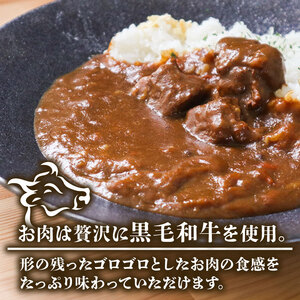 【 カレー 】黒毛和牛 ビーフカレー 200g×11袋