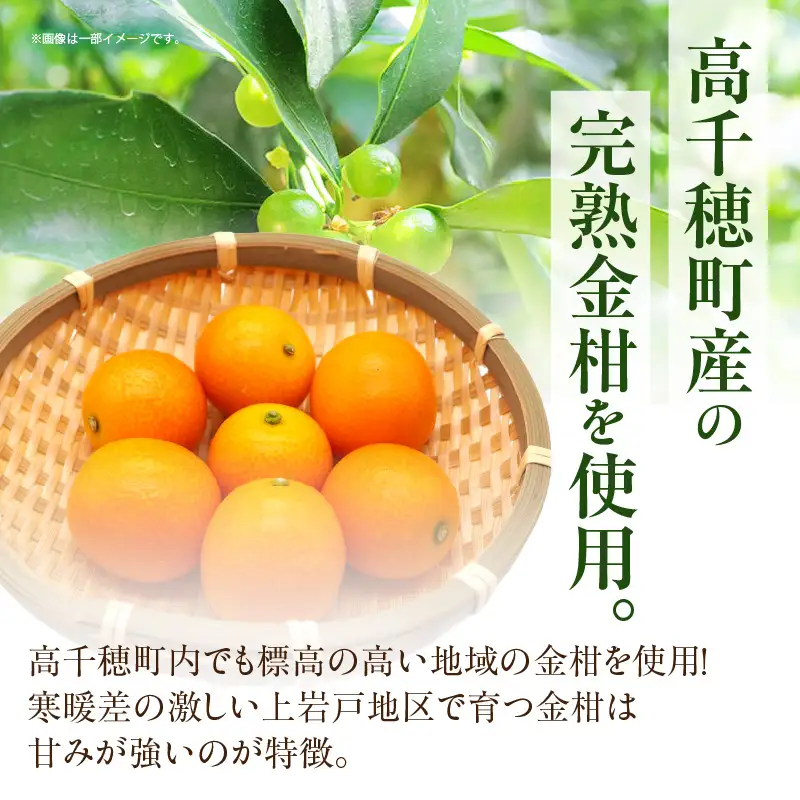 高千穂きんかんジャム3本セット 金柑 フルーツ 果物 柑橘 柑橘系 柑橘類 ジャム ジャムセット マーマレード 手作りジャム パン カナッペ 贈答 贈り物 ギフト 国産 宮崎県産 高千穂町産 特産品 グルメ お取り寄せ おすすめ 瓶 宮崎県 高千穂町 _Tk050-004