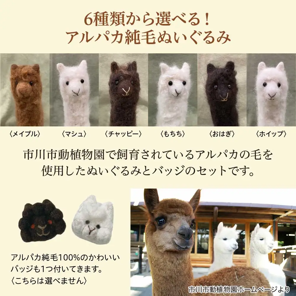 アルパカ純毛ぬいぐるみ・バッジセット　【12203-0265】