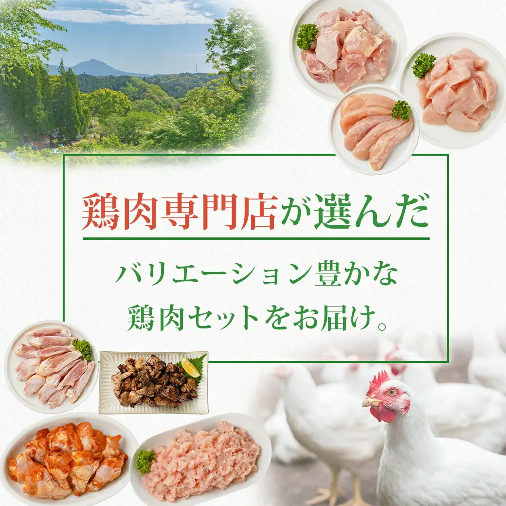 国産若鶏づくし7種セット!総重量3.2kg!〔13-L902〕_(都城市) 国産若鶏 真空 ももみ むねみ ささみ チキンバー むねミンチ 味付手羽元 若鶏塩焼き 高タンパク 低カロリー! 