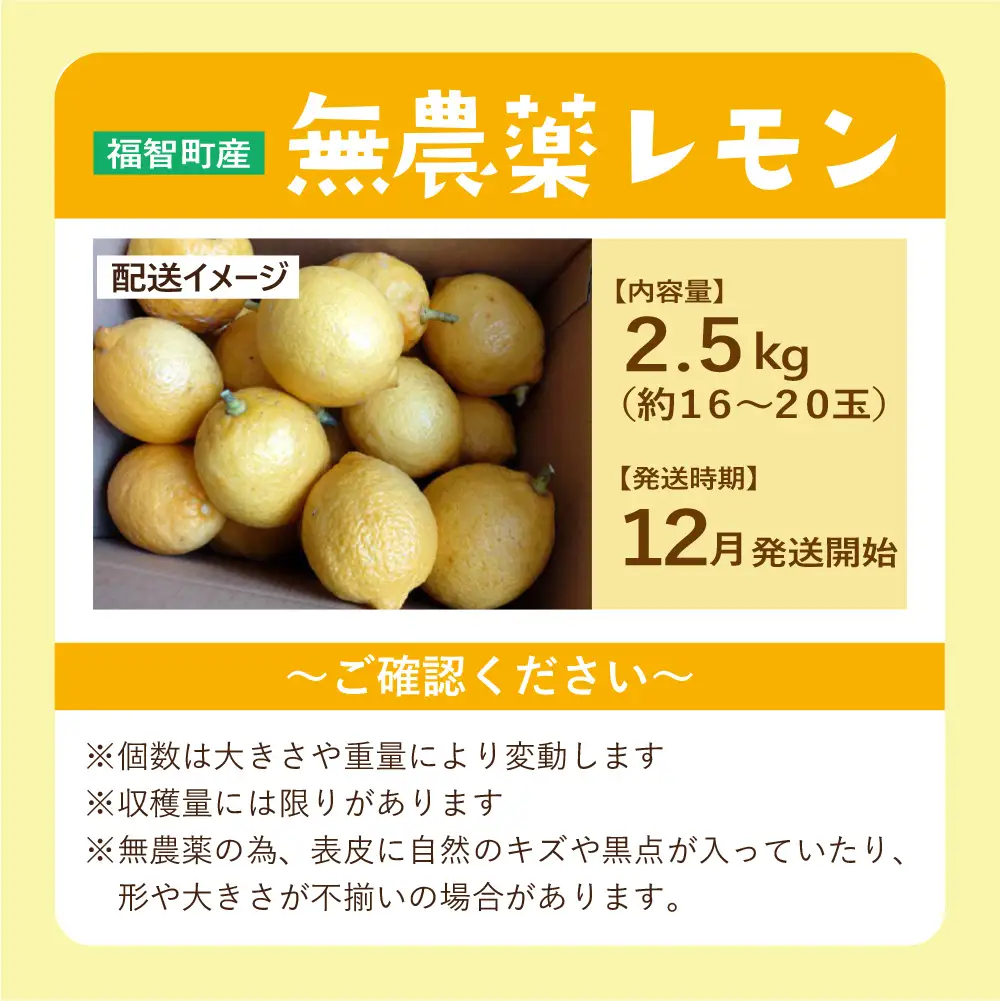 AA14-01 福智町産 無農薬 レモン 2.5kg 約16～20個
