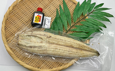 うなぎ 訳アリ 浜名湖 白焼 1本 250g ビッグサイズ 浜松 うなぎ