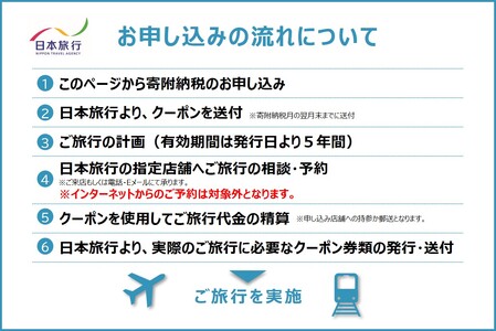 東京都新宿区 日本旅行 地域限定旅行クーポン90,000円分 0114-004-S06