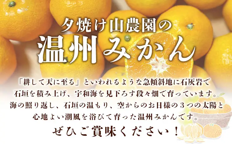 ＜夕焼け山農園 愛媛県西予市産 温州みかん 家庭用 約5kg＞『2026年10月上旬～12月下旬予定』果物 フルーツ ミカン 蜜柑 柑橘 なんかん 訳あり うんしゅうみかん ウンシュウ 特産品 愛媛県 西予市 【常温】AYN0008
