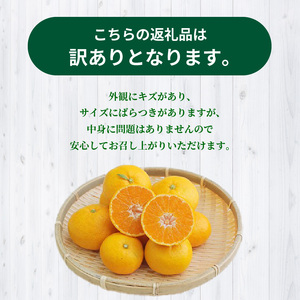 S040-026_【訳あり】完熟早生温州ミカン 家庭用5kg