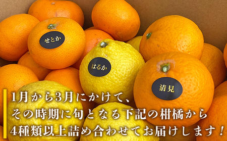 ＜愛媛県西予市産 柑橘詰め合わせ 合計約7kg＞ 果物 フルーツ お任せ おまかせ お楽しみ みかん ミカン 蜜柑 食べ比べ 詰合せ セット ご家庭用 柑橘 特産品 夕焼け山農園 愛媛県 西予市 【常温】『2026年1月上旬～4月中旬頃迄に順次出荷予定』AYN0010