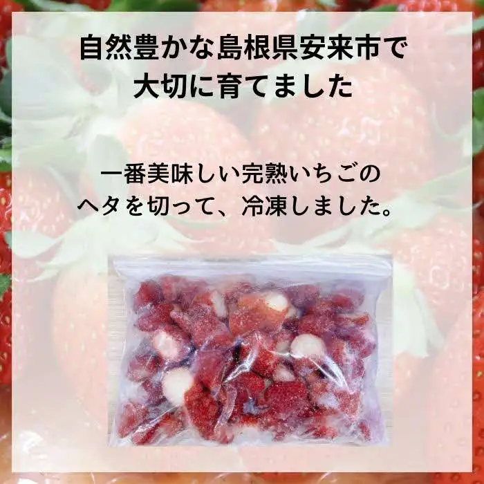 冷凍完熟いちご 1kg【苺 イチゴ 冷凍 果物 フルーツ ミックス 完熟 かおり野 紅ほっぺ よつぼし 甘味 酸味 甘酸っぱい シャーベット スムージー 島根県 安来市 安来市産】