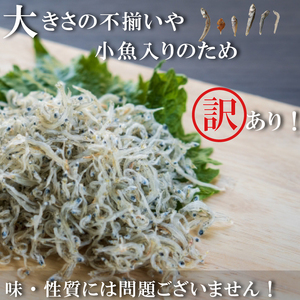 訳あり ちりめんじゃこ 100g 冷凍 ちりめん じゃこ