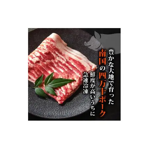 【 豚肉 】 豚肉定期便12ヶ月36kg