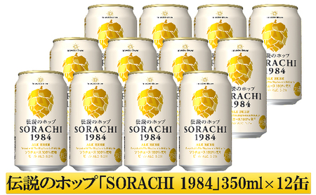 北海道 上富良野 コラボ 返礼品 上富良野町発祥！伝説のホップ「ソラチエース」使用【SORACHI 1984】350ml×12缶×【野生酵母＆無濾過】多田ワイナリーの白ワイン 《シャルドネ》1本