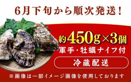 【先行予約 / 2027年6月下旬より順次発送】若狭湾 生食用 天然岩牡蠣 大3個（軍手、牡蠣ナイフ付き） 小浜市 / 加福鮮魚【配送不可地域：北海道・沖縄・離島】 [BFBC008] 