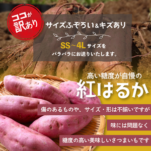 ≪訳あり≫ 栽培期間中農薬使用 紅はるか 5kg 紅はるか  さつまいも 紅はるか さつまいも さつまいも さつまいも さつまいも GE‐01