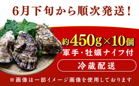 【先行予約 / 2027年6月下旬より順次発送】 若狭湾 生食用 天然岩牡蠣 大10個（軍手、牡蠣ナイフ付き） 小浜市 / 加福鮮魚【配送不可地域：北海道・沖縄・離島】 [BFBC010] 