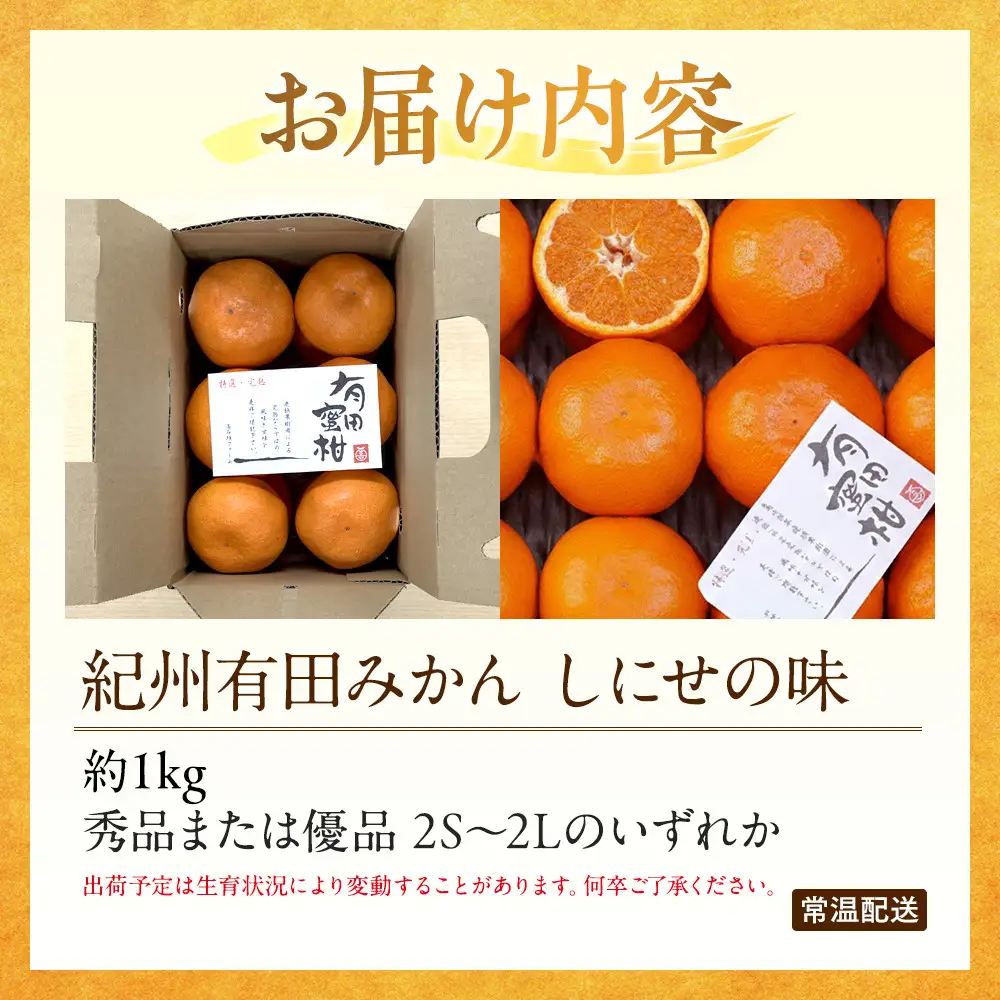 有田みかん 約1kg 2S～2L いずれか みかん 秀品または優品 しにせの味