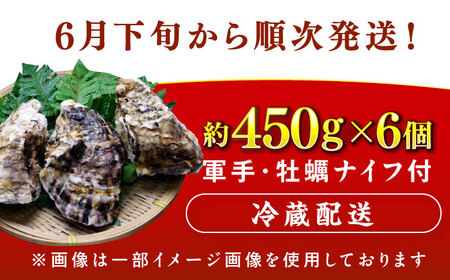 【先行予約 / 2027年6月下旬より順次発送】 若狭湾 生食用 天然岩牡蠣 大6個（軍手、牡蠣ナイフ付き） 小浜市 / 加福鮮魚【配送不可地域：北海道・沖縄・離島】[BFBC009] 