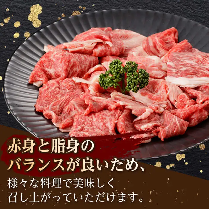 【定期便】牛肉切り落とし 計1kg NAC167 牛肉 全12回