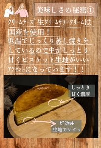 ニューヨークチーズケーキ 5号 700g 〈北海道産チーズ〉〈丹波市〉 チーズケーキ 菓子