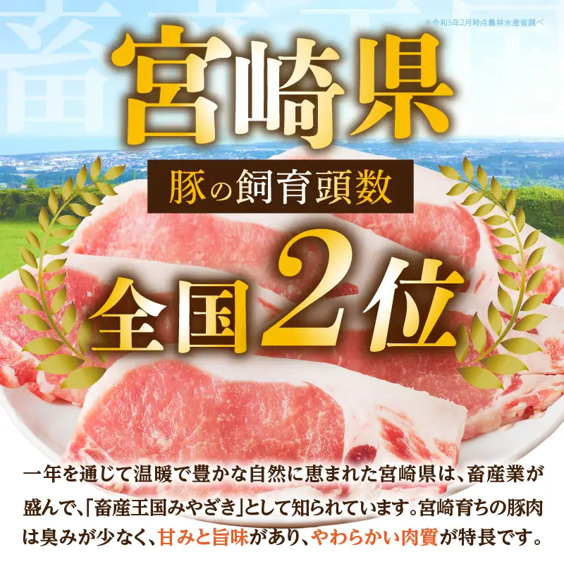 【2週間以内発送】≪宮崎県産≫豚肉6種＼てげスゲーセット／合計4.5kg 肉 豚 豚肉 おかず 国産_T009-0325-2W