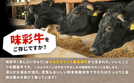 味彩牛 モモ・ウデ・肩ロース スライス 1.5kg 1パック 500g のぐち産業株式会社《90日以内に出荷予定(土日祝除く)》熊本県 菊池市 牛肉 スライス済み 肩ロース お肉 精肉 熊本県産 九州産 国産 冷凍 送料無料