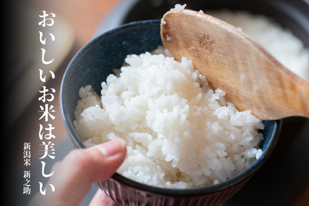 【令和7年産】6ヶ月定期便 特別栽培米 新之助 4㎏（2kg×2袋）×6回 米杜氏 壱成 白米 精米 大粒 つや 光沢 弾力 芳醇  新潟県 米 こめ コメ 1H43091