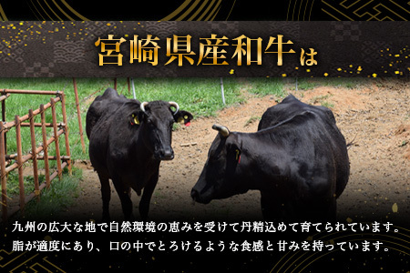  牛肉 宮崎県産 和牛 切り落とし 900g ×2（1,800g） 牛肉 肉 切り落とし肉 TK-99