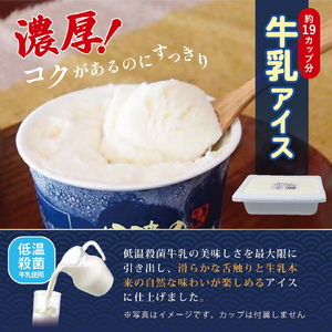 【大容量】丹波産牛乳アイスクリーム（2L×２種） アイスクリーム