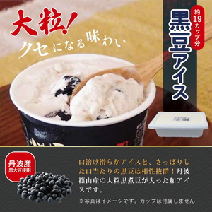 寄付額を見直しました！【大容量】丹波篠山黒豆アイスクリーム（2L） アイスクリーム