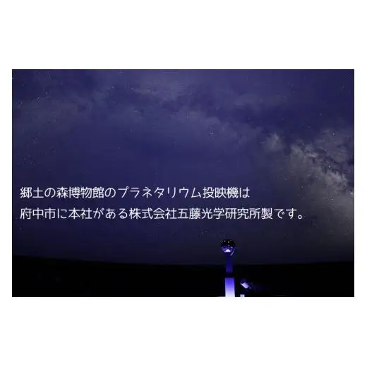 府中市郷土の森博物館・プラネタリウム観覧券（入館券付き）１０枚セット（大人用）