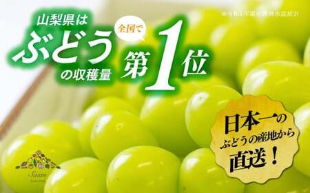 【季節を超えて届く】【11月～12月発送】蔵出し シャインマスカット 1.0kg以上（2～3房）　フルーツ 山梨県産 果物 シャイン マスカット ぶどう ブドウ 大粒 種なし 山梨 やまなし 富士川町